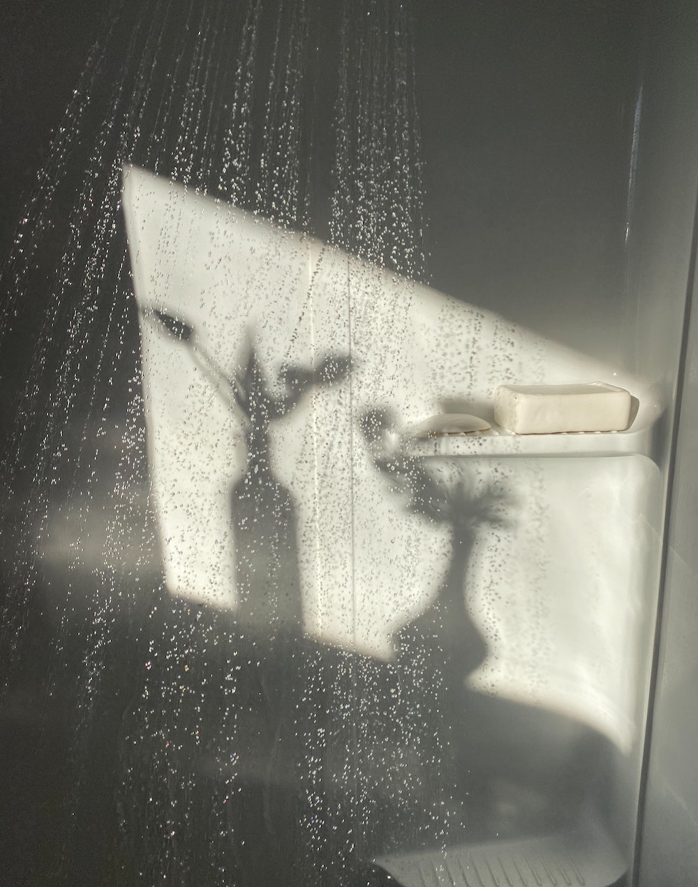 How to clean shower doors? Water repellent. - Conservatis