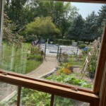bedroom window replacement