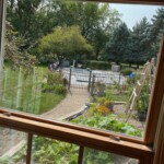 bedroom window replacement
